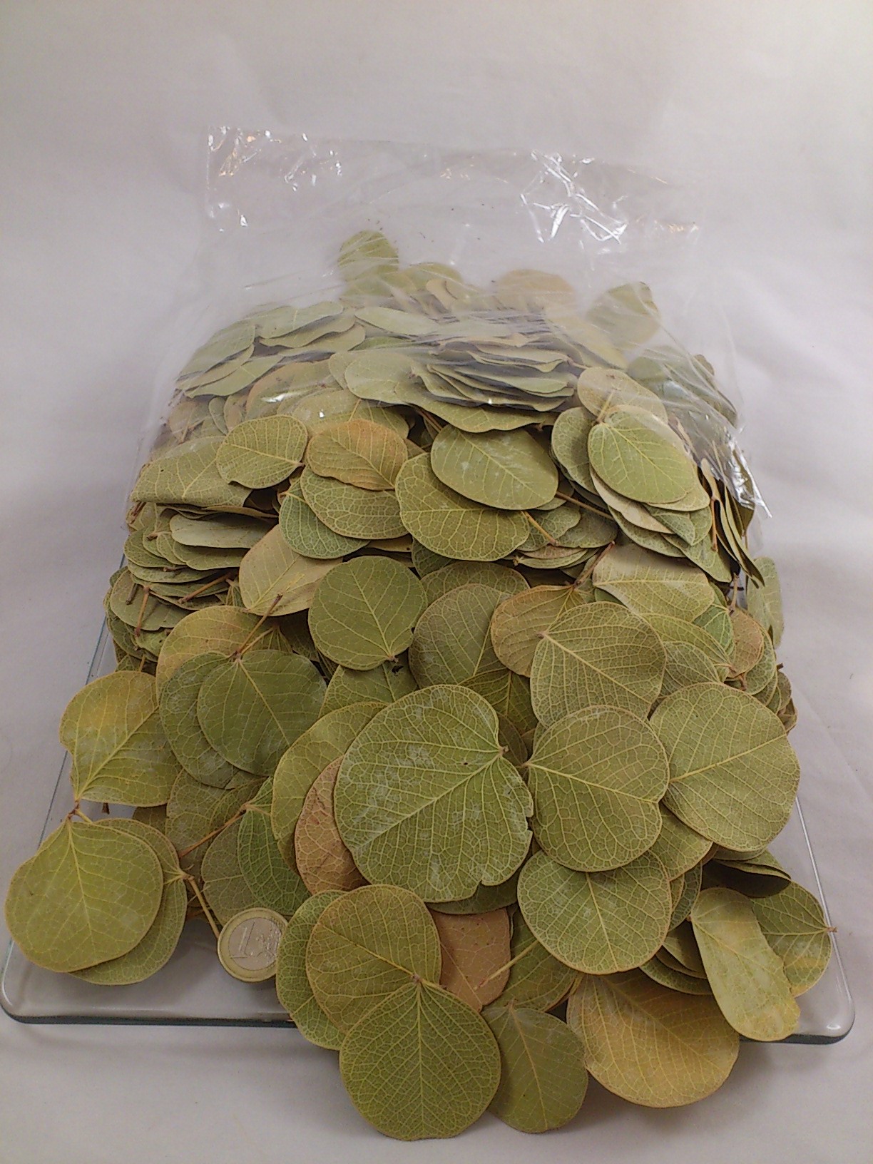 Moneta leaves 250 gr.
